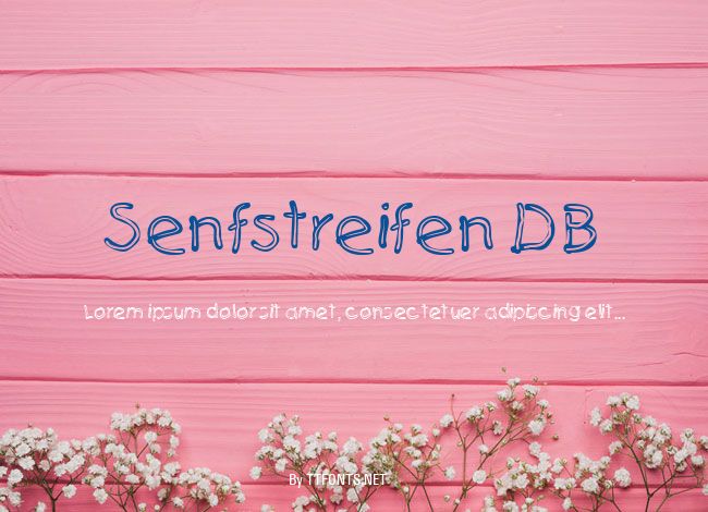Senfstreifen DB example